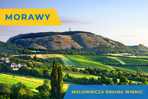 MORAWY - MALOWNICZA KRAINA WINNIC